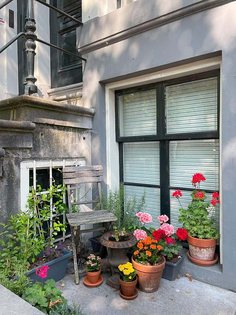 Potted plants in Amsterdam