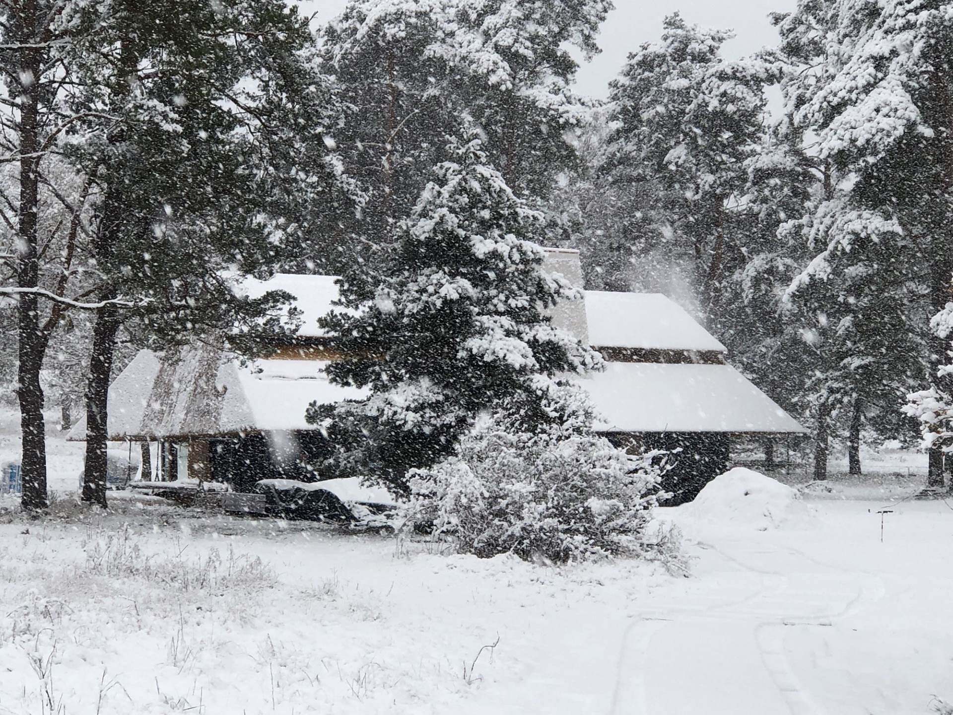 Thatched cottage in the snow